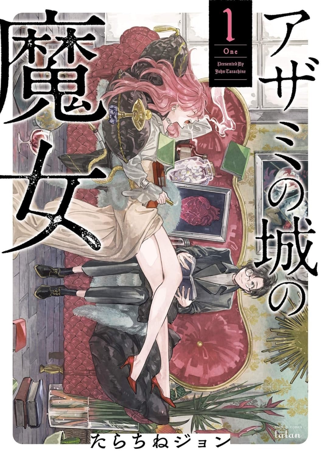 La strega del castello dei cardi - Copertina JP